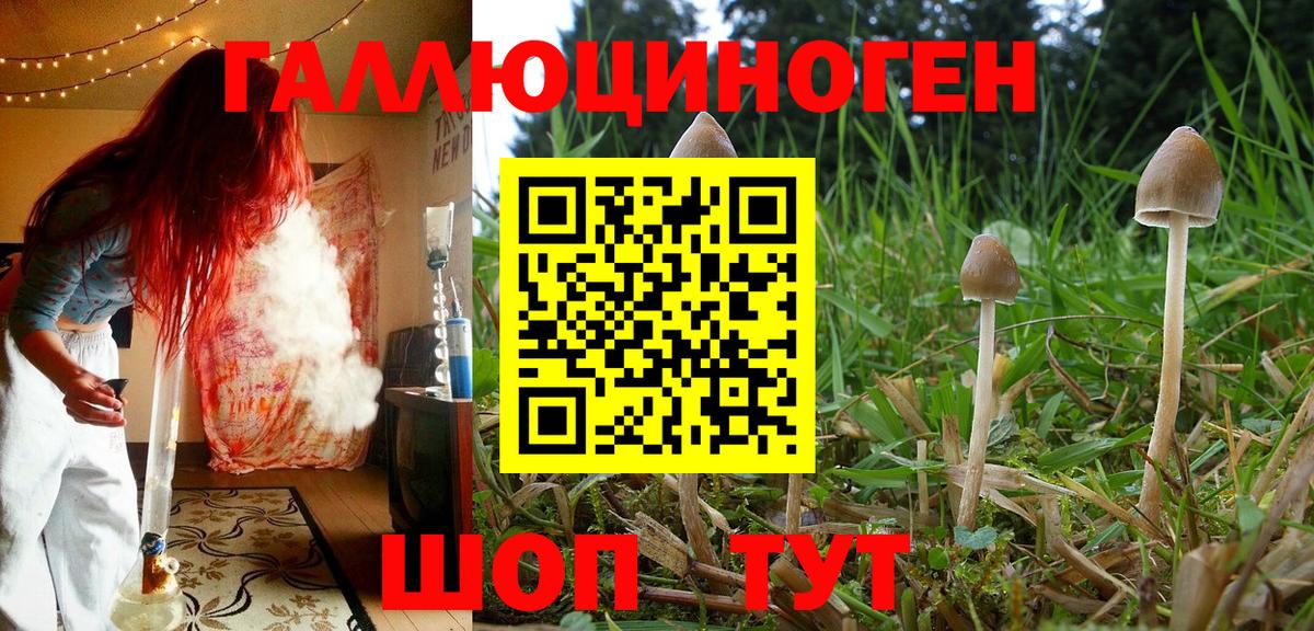 Псилоцибиновые грибы ЛСД Златоуст